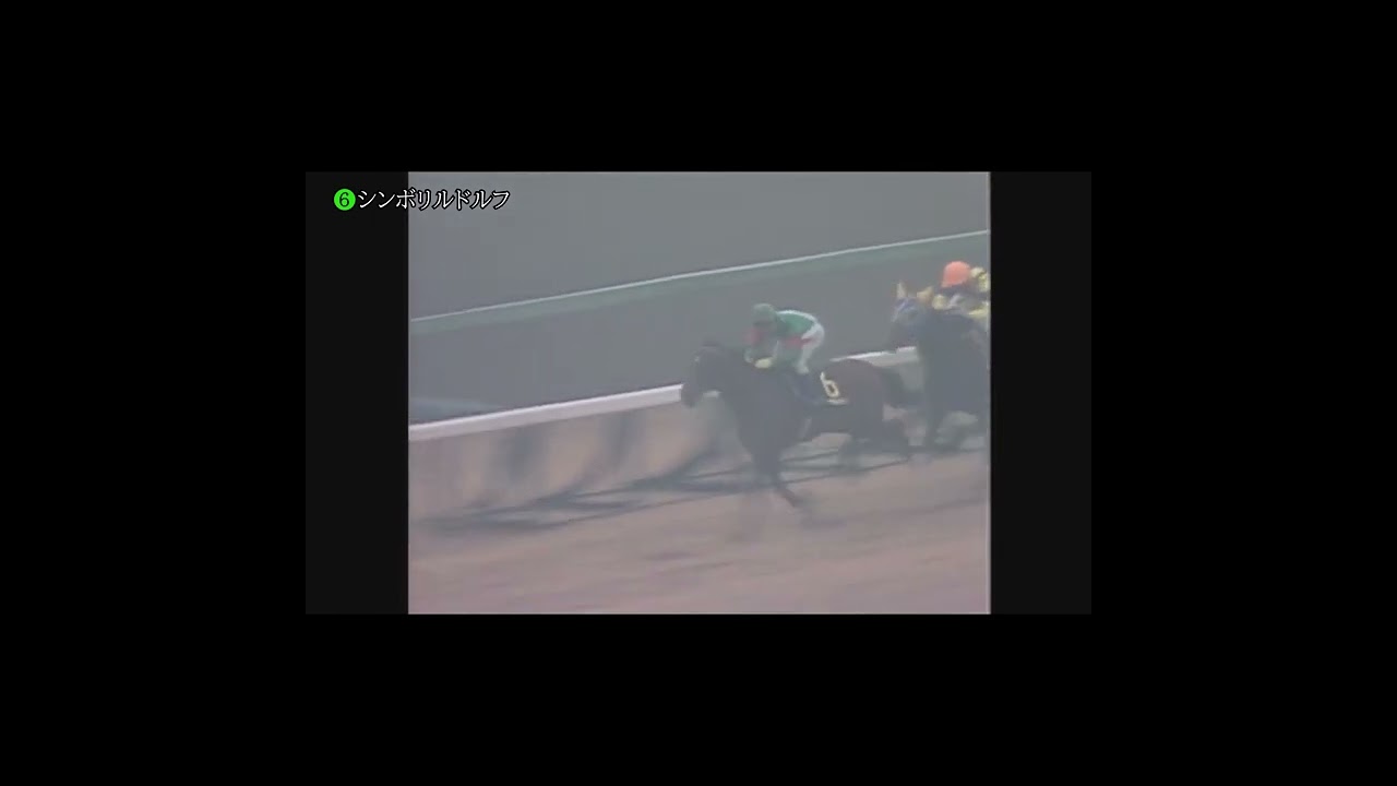 皇帝『シンボリルドルフ』国内最終レース有馬記念