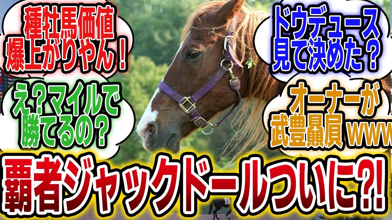 「ジャックドール武豊コンビで安田記念にｷﾀ――(ﾟ∀ﾟ)――!!」に対するみんなの反応【競馬の反応集】