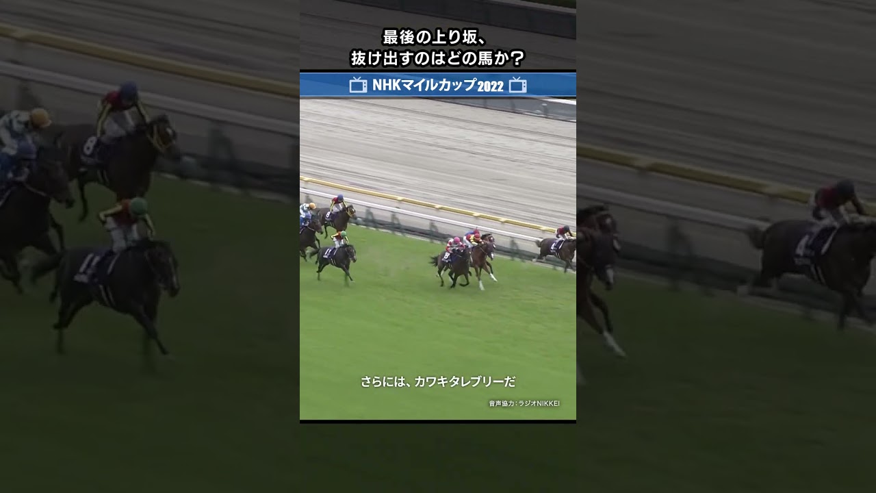 堂々の競馬でダノンスコーピオンが3歳マイル王に#nhkマイルカップ #nhkマイルカップ2022 #ダノンスコーピオン #jra #shorts