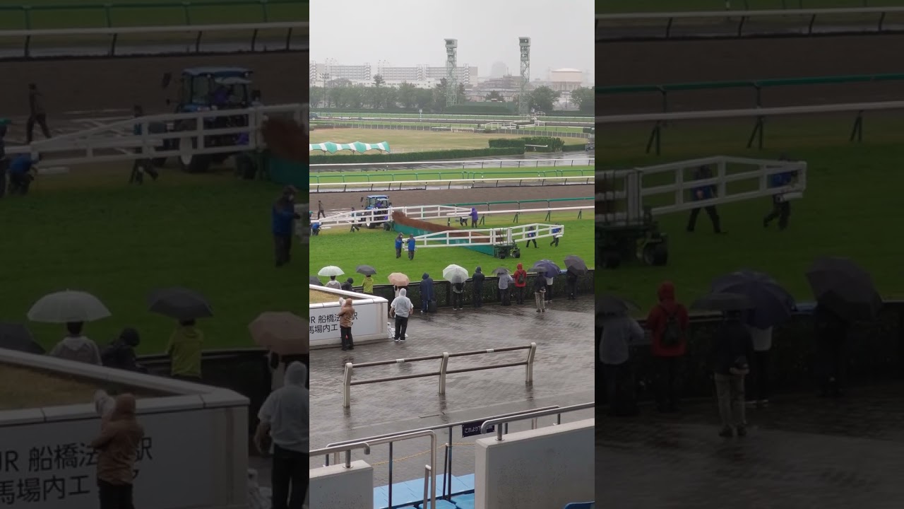 2023/4/15 中山11R 中山グランドジャンプ 最終直線ハードル設置の一部始終 #現地観戦 #中山競馬 #中山グランドジャンプ #中山GJ