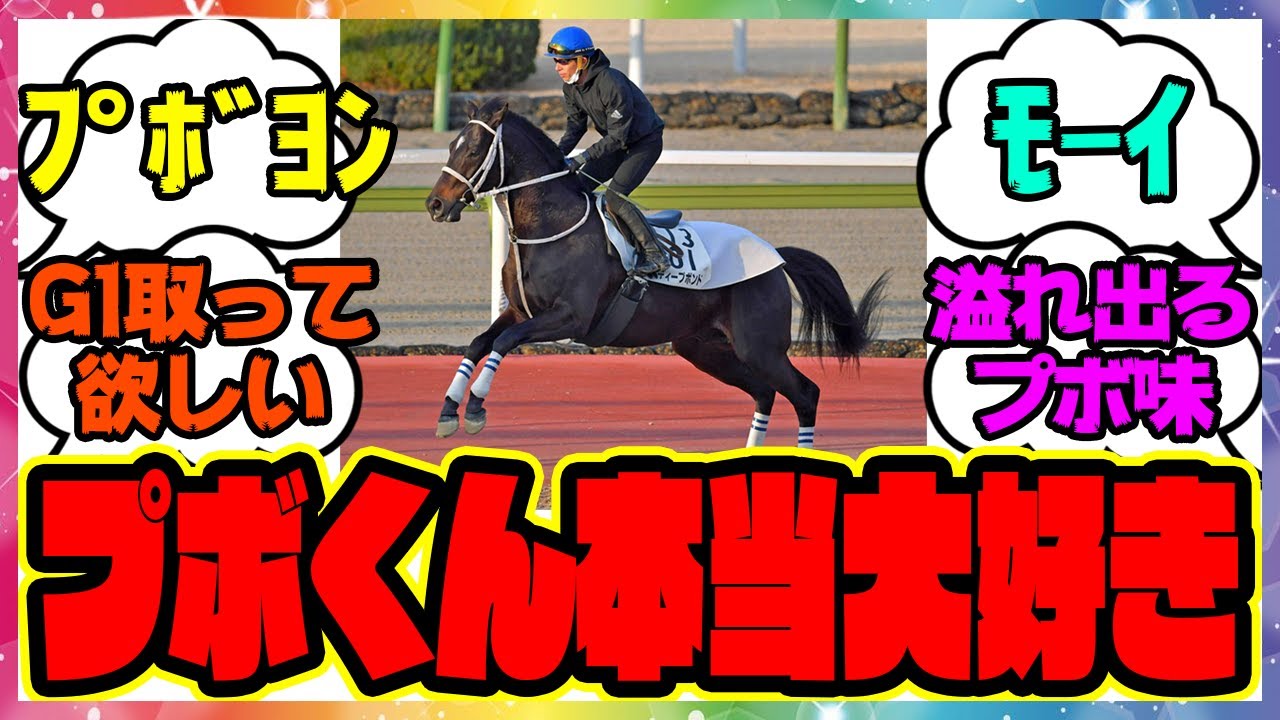 『本番へ弾みをつけたいディープボンドくん』に対するみんなの反応集 まとめ ウマ娘プリティーダービー レイミン
