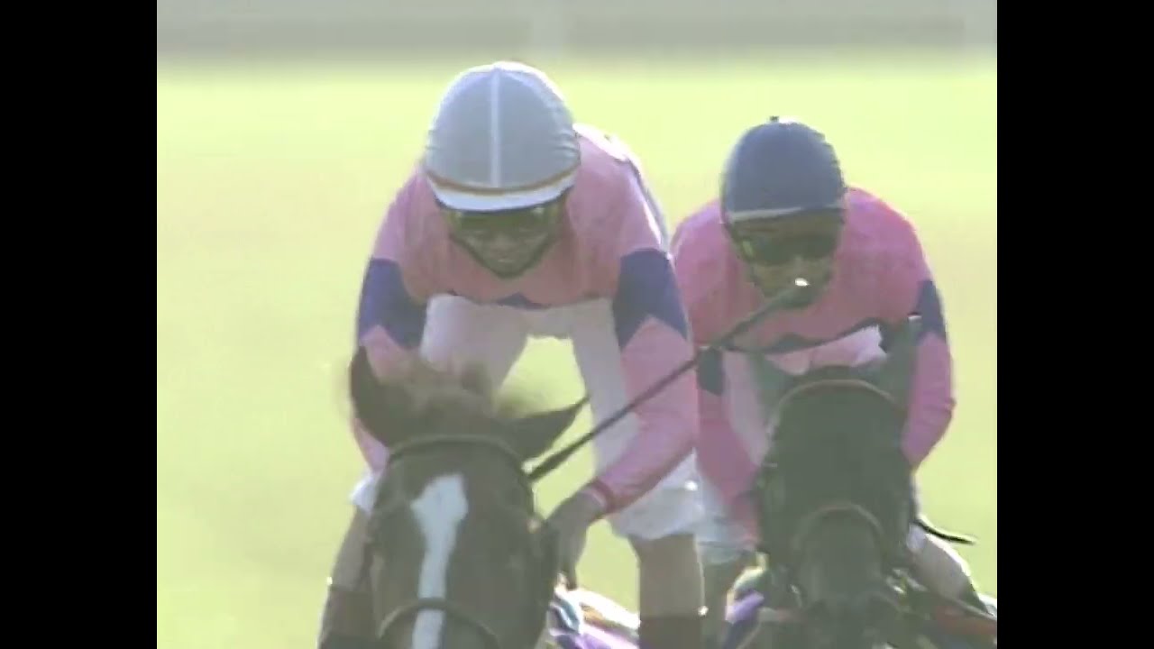 ナリタトップロード 1999年 第60回菊花賞(GI) (優勝馬：ナリタトップロード)