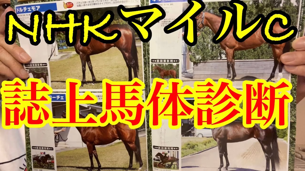 【NHKマイルC誌上馬体診断👺】5月2日昼から呑んでます🍻