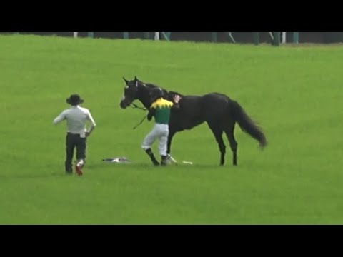 【タイトルホルダー 競走中止】4コーナー失速〜下馬〜馬運車までの一部始終 現地映像【2023 天皇賞春】