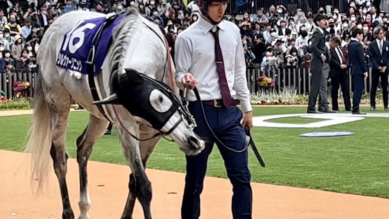 【天皇賞春2023】あれ？今年はちゃんとゴールできるかも？と思案をめぐらすシルヴァーソニック【オルフェーヴル産駒】