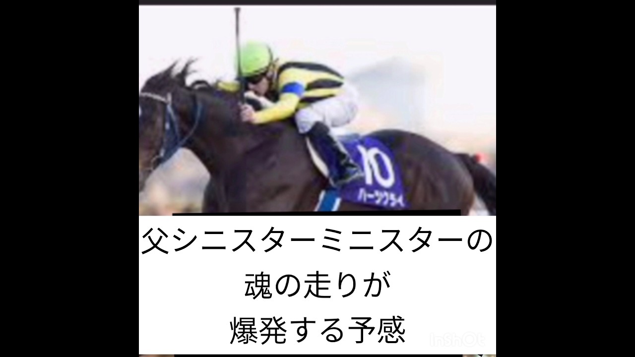 平城京ステークス　先行予想5/6(土)京都10レース　ジンオウ競馬