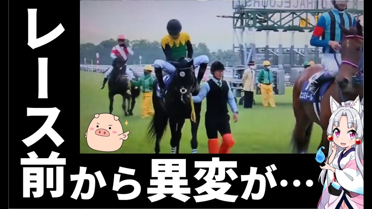 タイトルホルダーの故障と馬場変化について語る【天皇賞春】