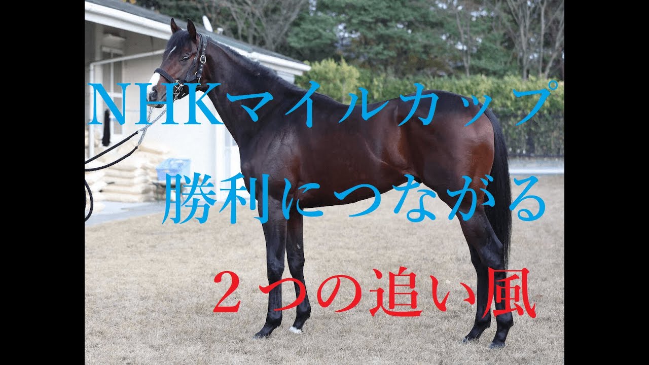 NHKマイルカップ 2023 三浦皇成ドルチェモアでG１初制覇あり 足りないものと２つの追い風