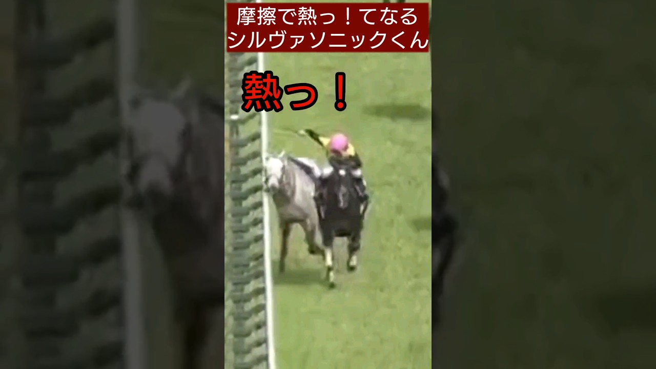 伝説の天皇賞春 タイトルホルダーvsシルバーソニック ウマ娘内定 川田落馬