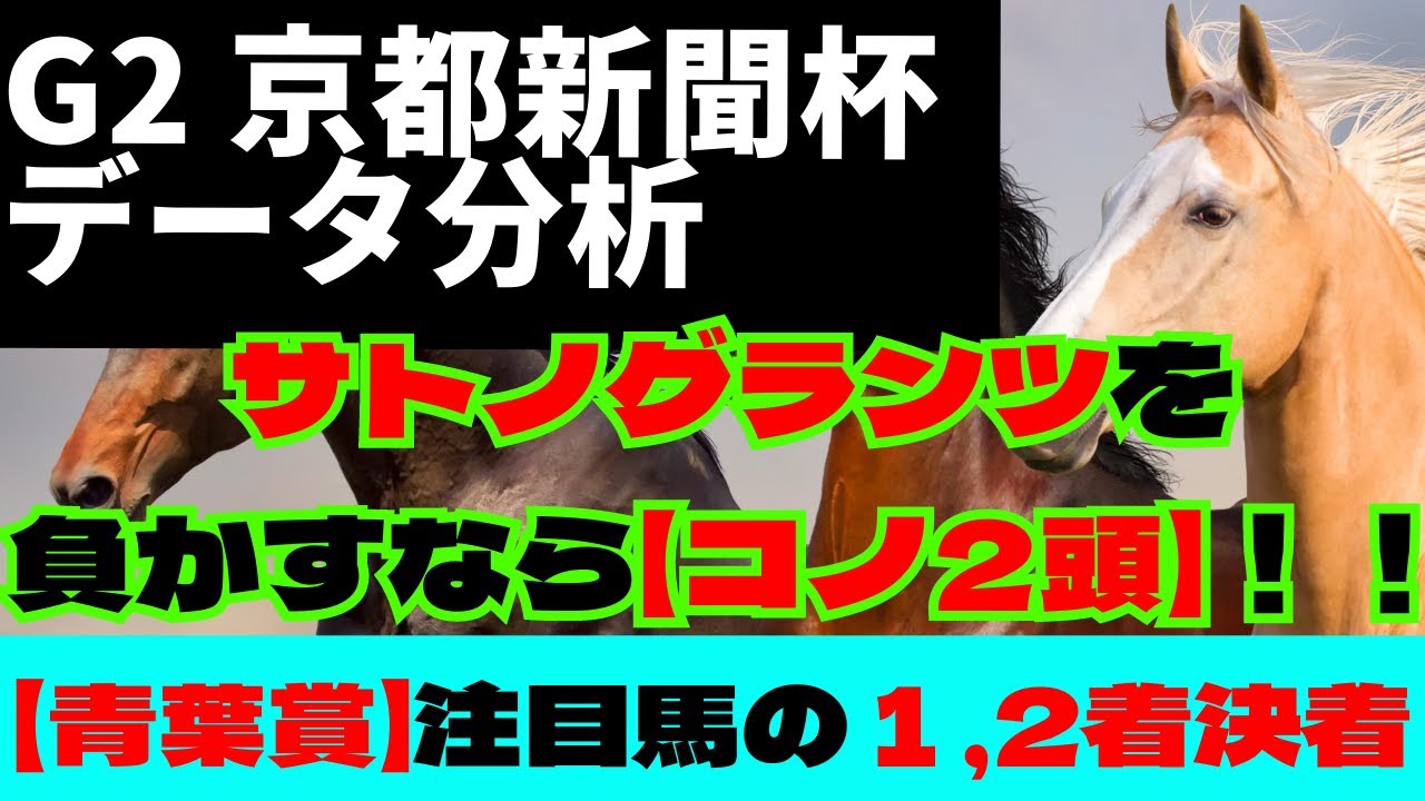 【G2 京都新聞杯 2023 データ分析】断然人気のサトノグランツを負かすなら【コノ2頭】‼【先週：G2青葉賞は、注目馬２頭の１、２着完全決着‼】