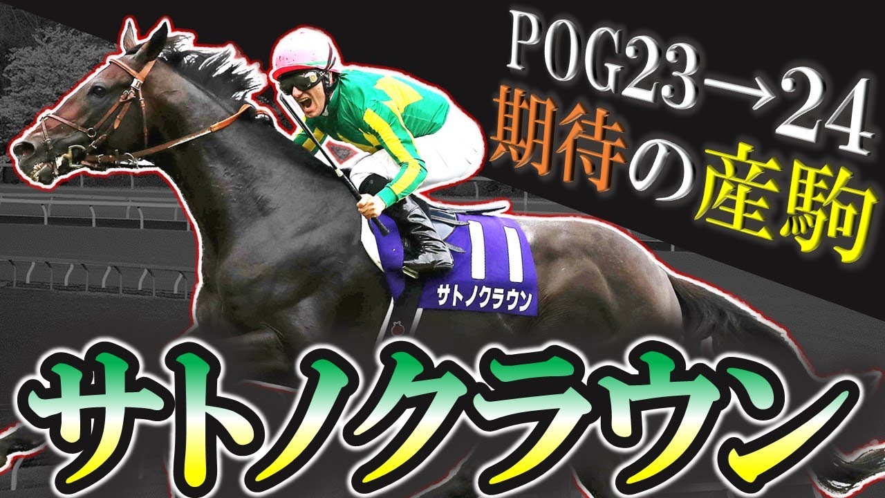 【2歳馬】侮れない台風の目！サトノクラウン期待の産駒を10頭紹介します！【pog23-24】