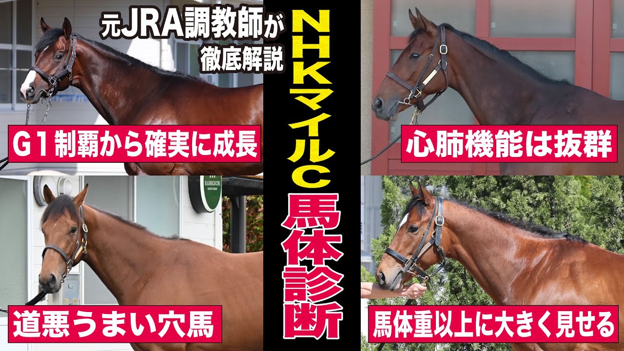 【NHKマイルC2023】中村均元調教師が馬体診断　馬体ランキング上位５頭＆道悪がうまい穴馬を２頭紹介《東スポ競馬ニュース》