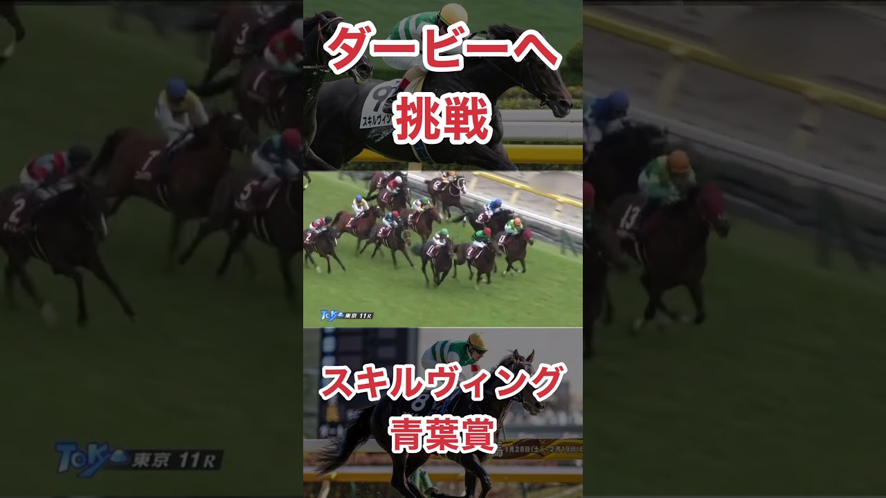 スキルヴィング、青葉賞を勝ってダービーへ挑戦