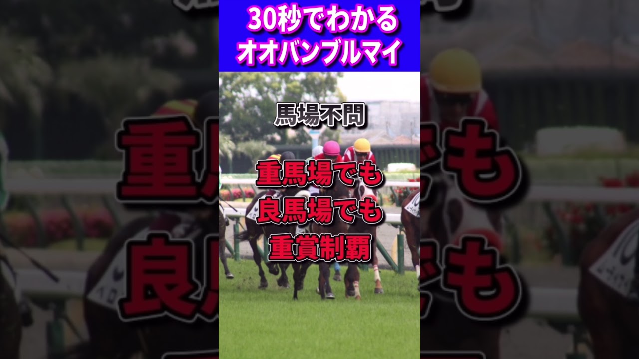 【NHKマイル2023】30秒でわかるオオバンブルマイ