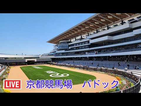 ライブカメラ　京都競馬場　パドック