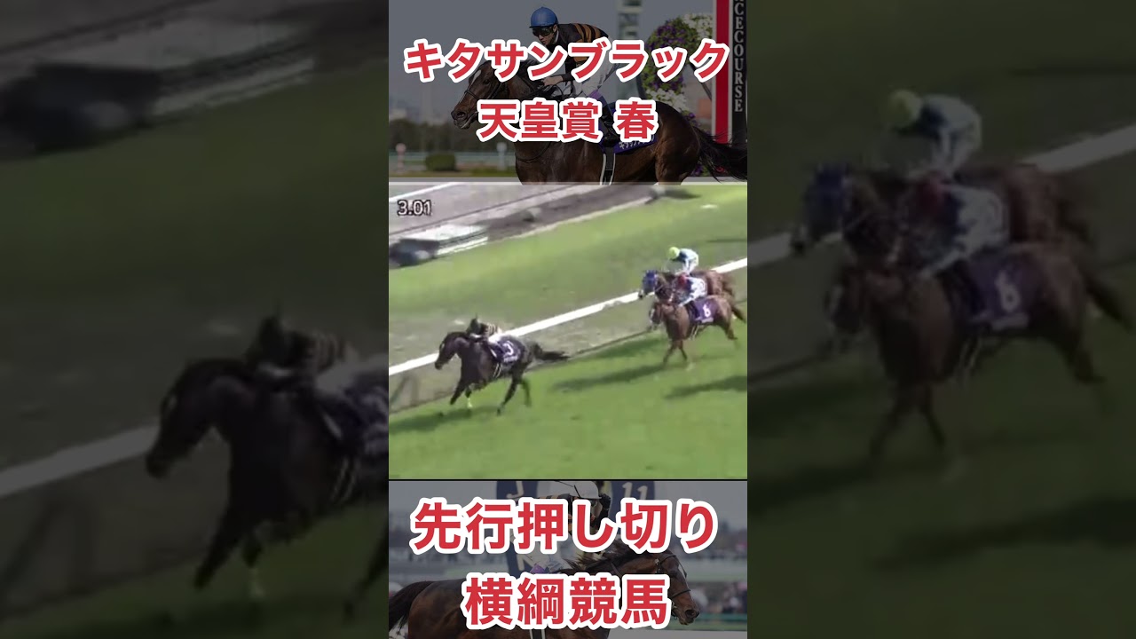 キタサンブラック天皇賞春連覇