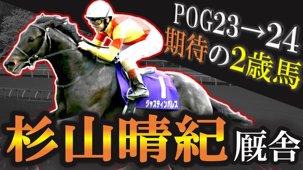 【祝春天制覇】次期栗東エース！杉山晴紀厩舎 期待の2歳馬を10頭紹介します！【2歳馬】【pog23-24】