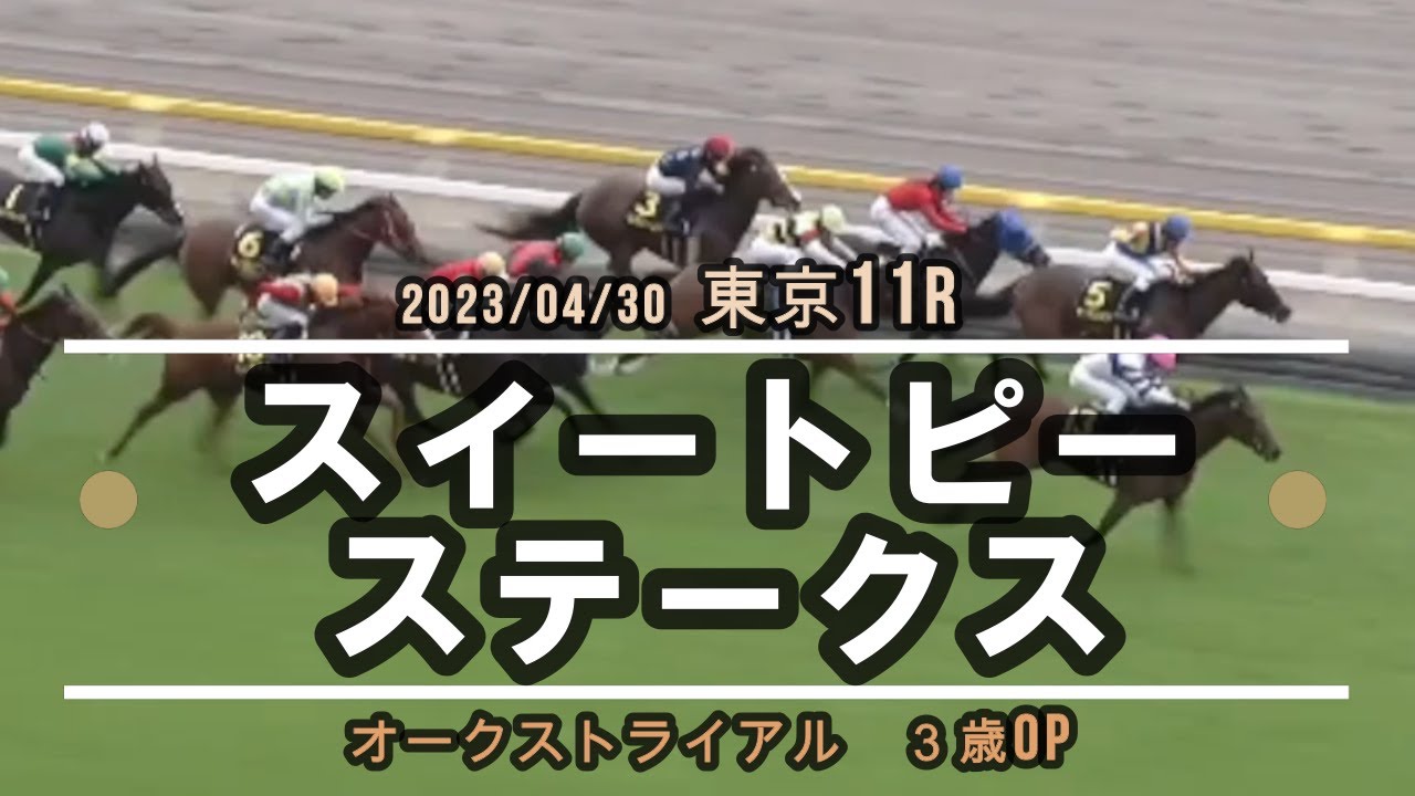 2023/04/30【パドック返し馬つき】東京11R　スイートピーステークス(３歳OP)　　☆ウヴァロヴァイト　サトノクラウン　＃レースは11分ころから