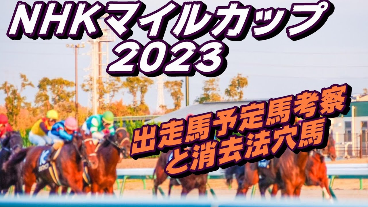 【NHKマイルカップ2023】出走馬予定馬データ分析と消去法予想