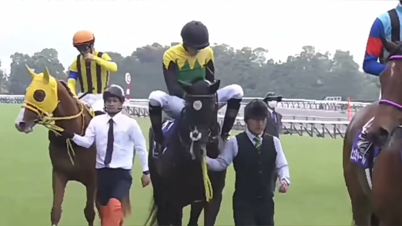 天皇賞春2023  アンカツの不安的中
