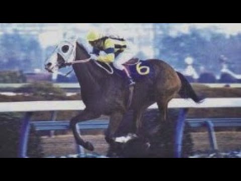 第３１回　有馬記念（ＧⅠ）　ダイナガリバー　牡３　55　増沢末夫　86.12.21　　出走馬：ギャロップダイナ、ミホシンザン、フレッシュボイス、レジェンドテイオー、サクラユタカオー、メジロラモーヌ他