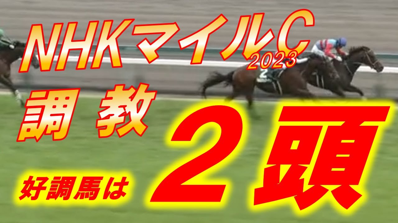 NHKマイルカップ2023　追い切り診断！！　超穴馬二頭が良く見える…！！　元馬術選手のコラム【競馬】