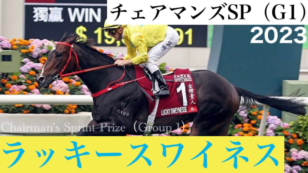 「鮮やかにラッキースワイネス、世界の舞台で速さを証明です」いざ安田記念へ【チェアマンズSP 2023】/ Lucky Sweynesse【Chairman's Sprint Prize 2023】