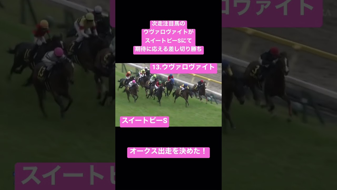 次走注目馬のウヴァロヴァイトがオークストライアルのスイートピーSにて期待に応える差し切り勝ち！