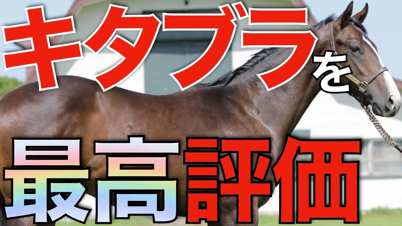 【抜けてる】あの吉田勝己さんがキタサンブラック1強宣言！？凄いことになりそうな予感。