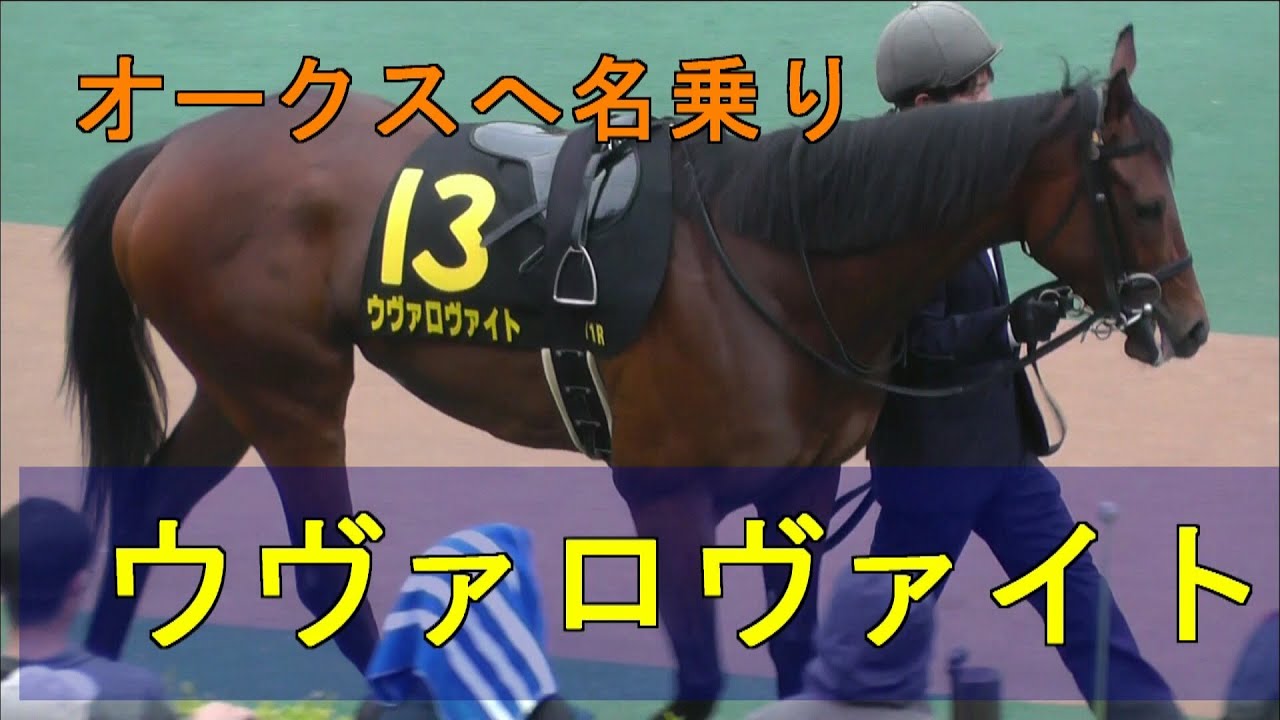 スイートピーS　ウヴァロヴァイト　オークスへ