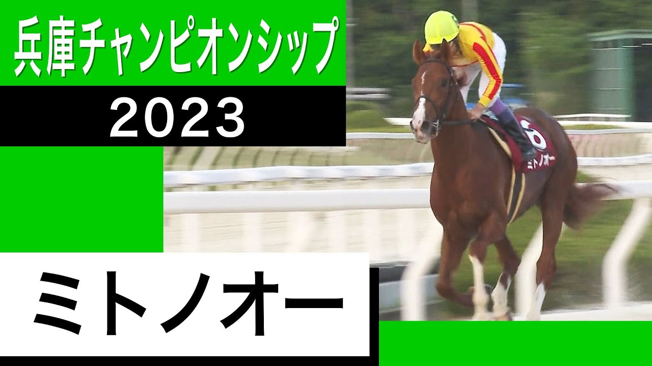JRAのミトノオー（武豊騎手）が６馬身差で圧勝！【兵庫チャンピオンシップ2023】