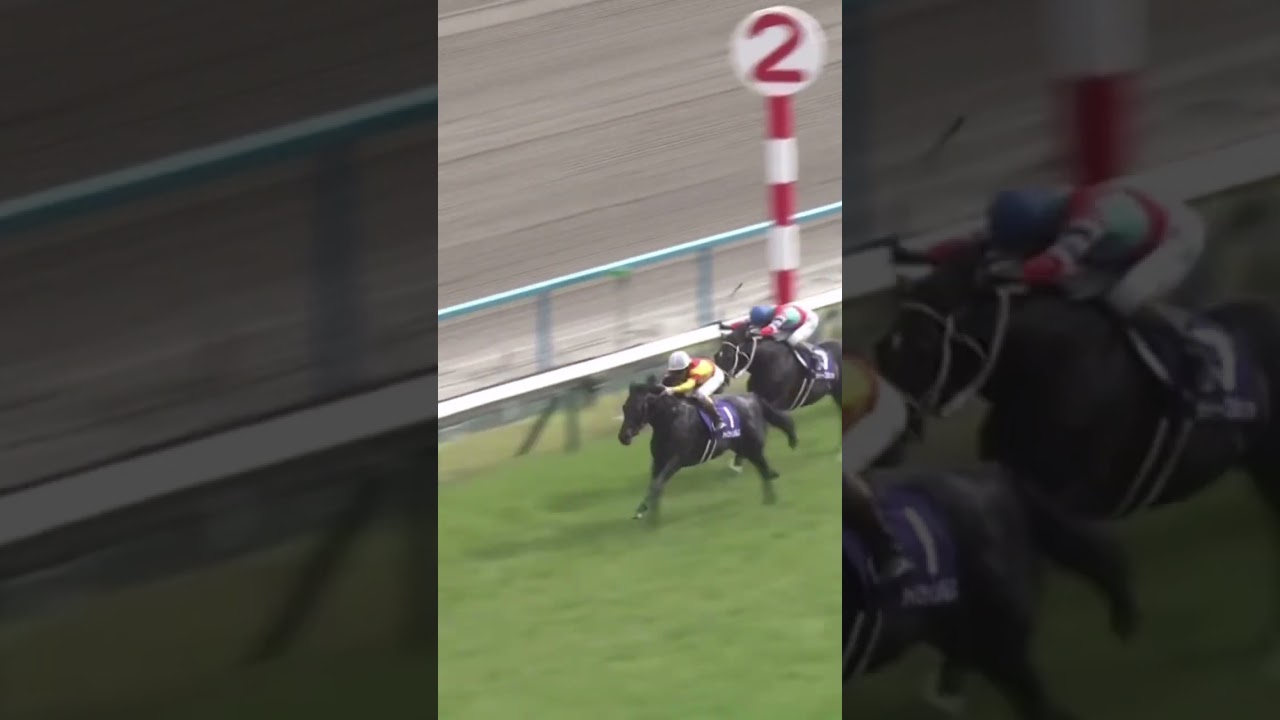 圧巻！天皇賞・春制覇！ ジャスティンパレス！ #こしゃまる #競馬予想 #競馬 #short #shorts