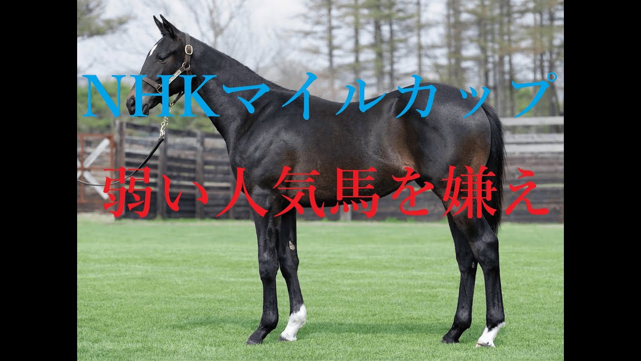 NHKマイルカップ 2023 能力で劣る人気馬は買えない！！最強の遺伝子はつながるのか？