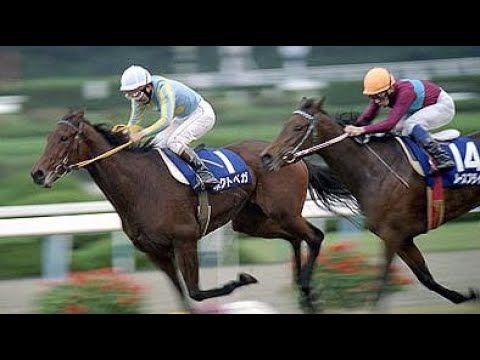 『ベガはベガでもホクトベガです！』第１８回　エリザベス女王杯 （ＧⅠ）　ホクトベガ　牝３　55　加藤和宏　1993.11.14　　出走馬：ノースフライト、スターバレリーナ、ユキノビジン他