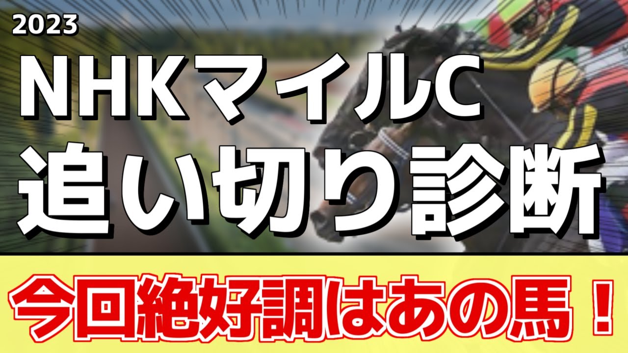 追い切り徹底解説！【NHKマイルカップ2023】カルロヴェローチェ、エエヤンなどの状態はどうか？調教S評価は2頭！