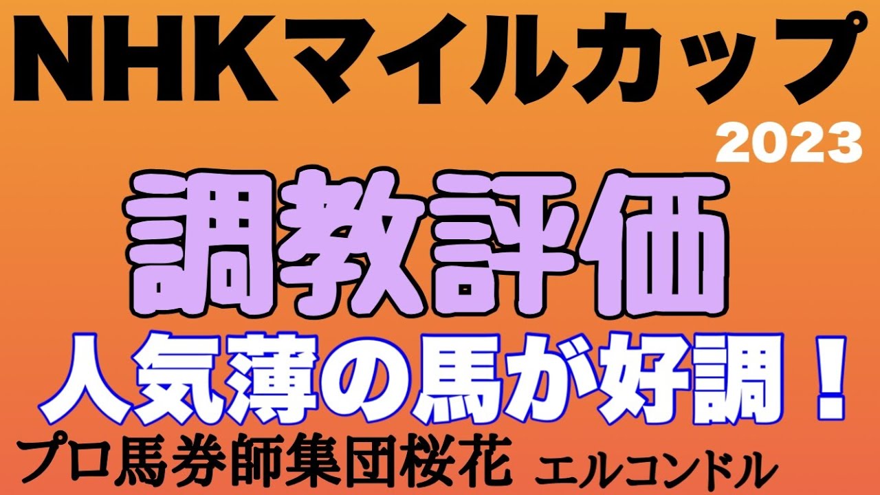 プロ馬券師集団桜花エルコンドル氏のNHKマイルカップ2023調教評価！！週末は雨予報でさらに難解になりそうな予感！人気馬の状態危うし？！人気薄の馬に状態が良い馬が多い！