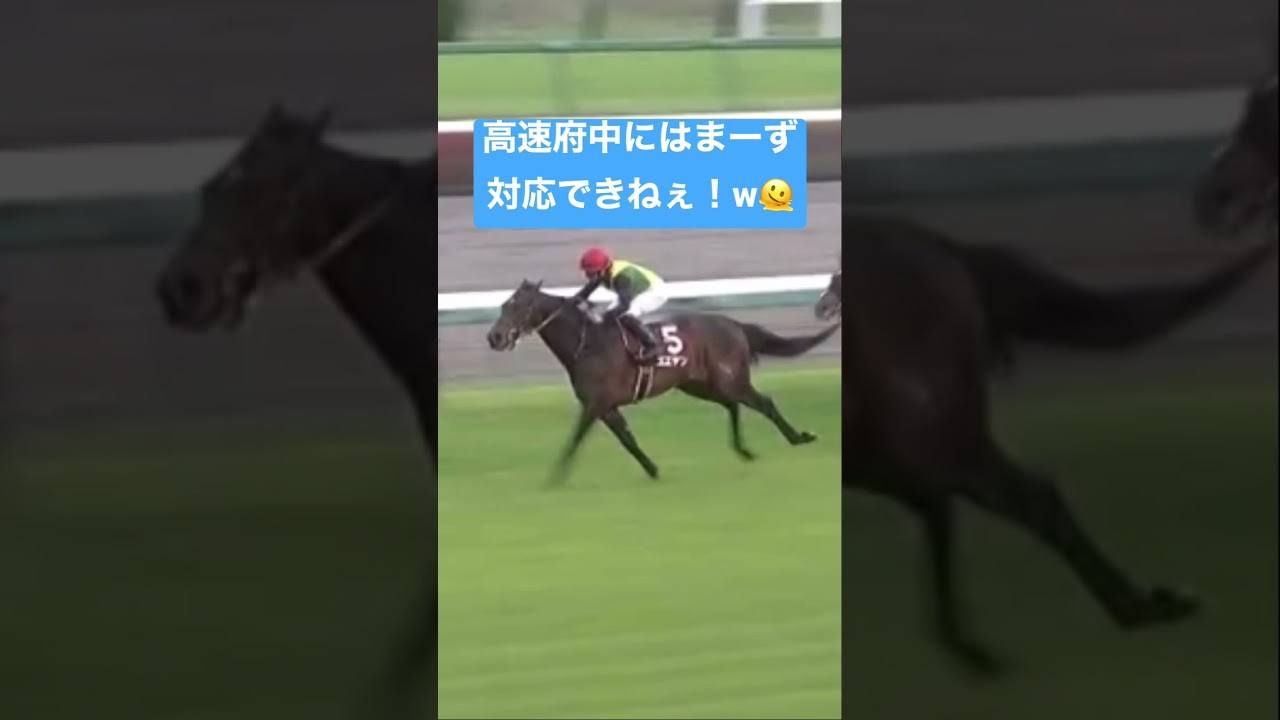 NHKマイルだけど…エエヤンなんてくるワケねーだろwww#nhkマイルカップ #nhkマイルc #競馬 #競馬予想