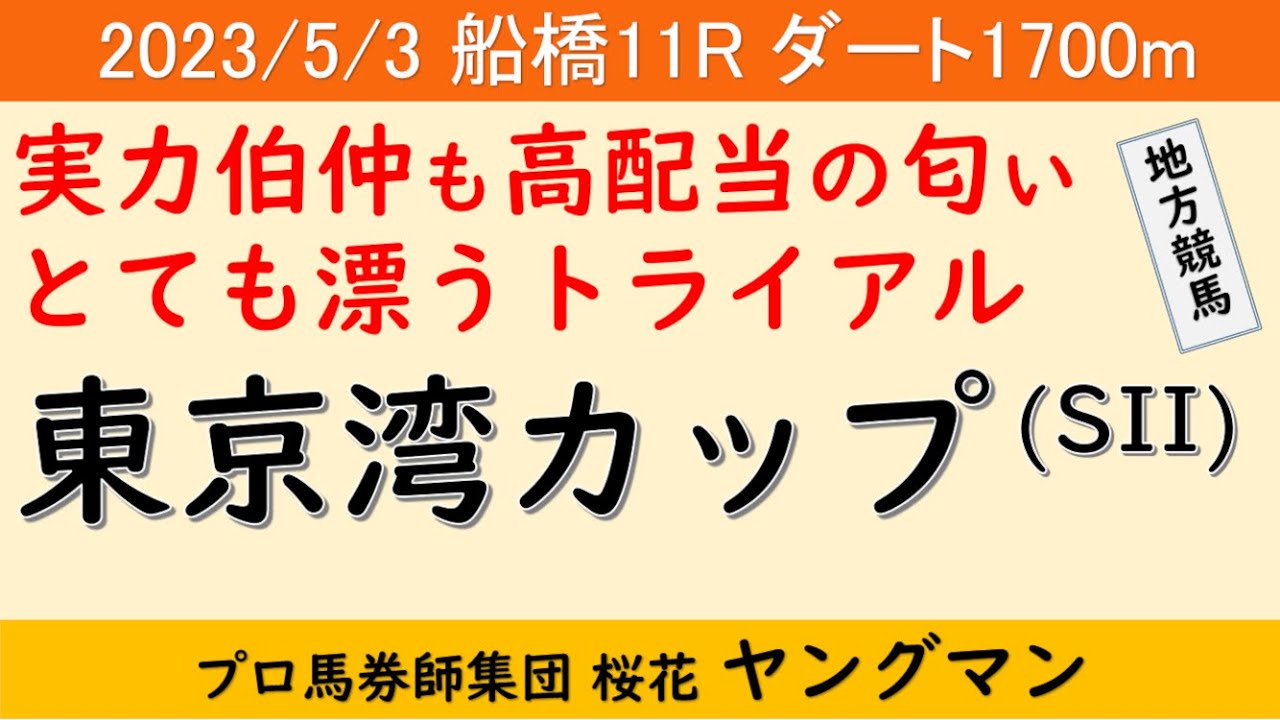 あ、ゴメン！東京湾カップ2023なのにヘルシェイク矢野のことを考えていた！ヤングマン氏のレース予想！過去には有馬記念馬イナリワンが制した！伝統の重賞で東京ダービーへの切符を掴むのは？