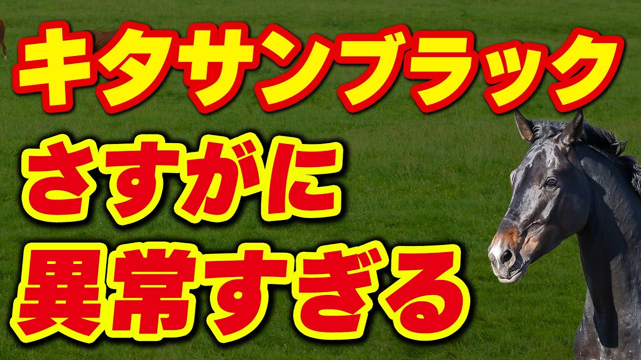 キタサンブラックさすがに異常すぎる