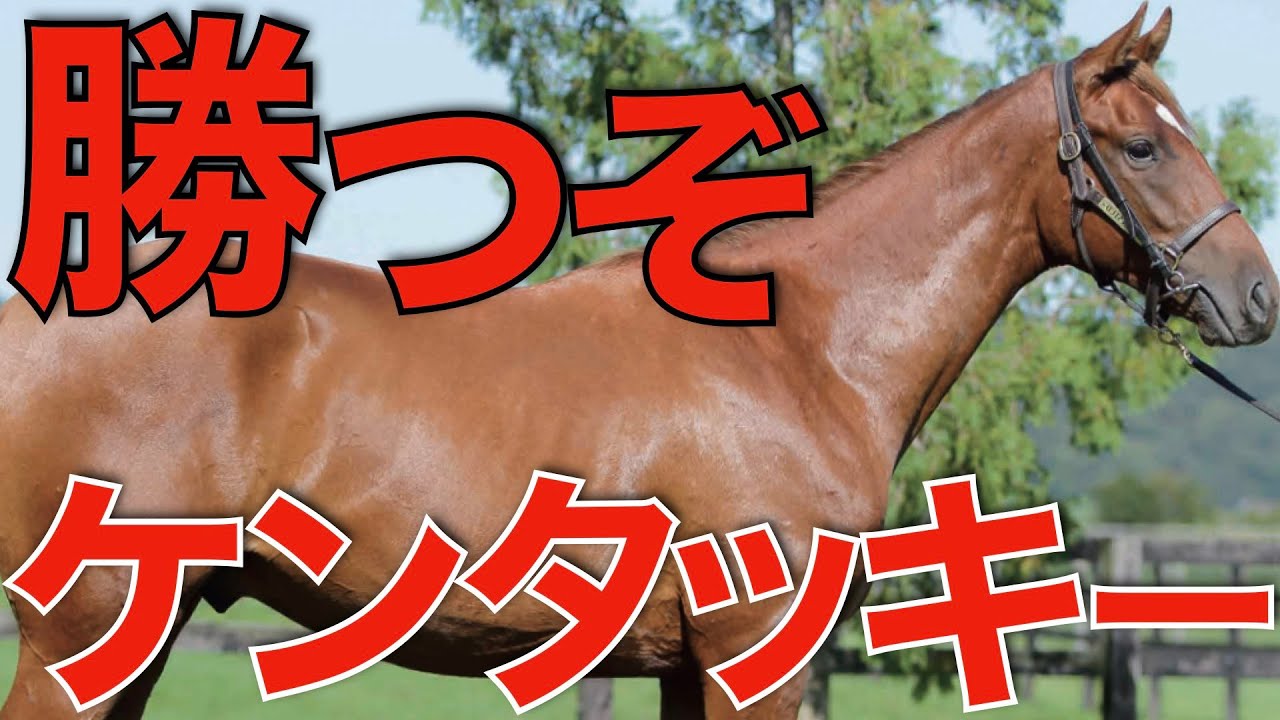 【大快挙へ】日本馬がケンタッキーダービーで再び世界を震撼させる予感！
