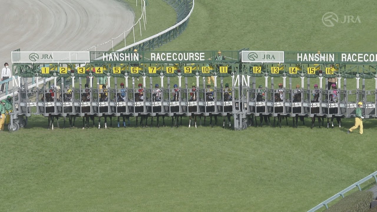 2023 OSAKA HAI (G1) | JRA Official