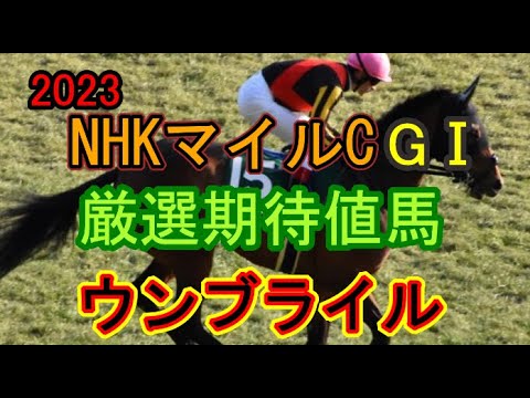 2023【NHKマイルC】厳選期待値馬ウンブライルについてコメントして下さい