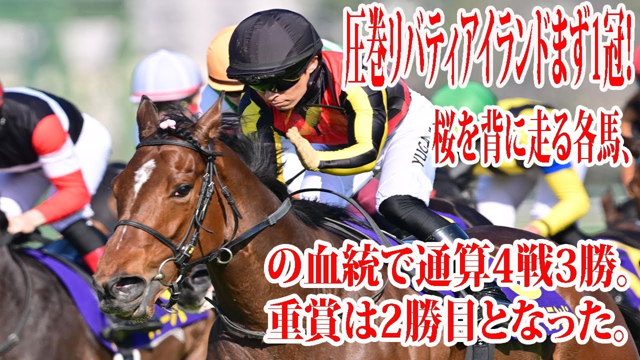 圧巻リバティアイランドまず1冠！！桜を背に走る各馬、　リバティアイランドは父ドゥラメンテ、の血統で通算4戦3勝。重賞は2勝目となった。川田「届いてくれてホっとしています」