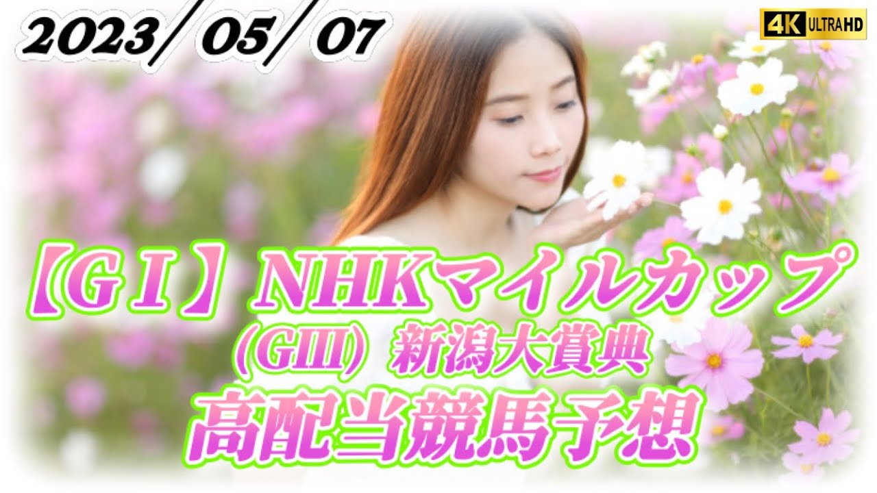 【競馬予想】165,320円的中‼️ 6日京都12R3連単評価D→B→C❗️投稿外も多数6桁配当‼️