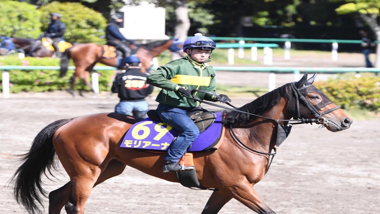 【ＮＨＫマイルＣ】モリアーナ　６年ぶり牝馬戴冠へ勝負手　名手・横山典に鞍上スイッチ
