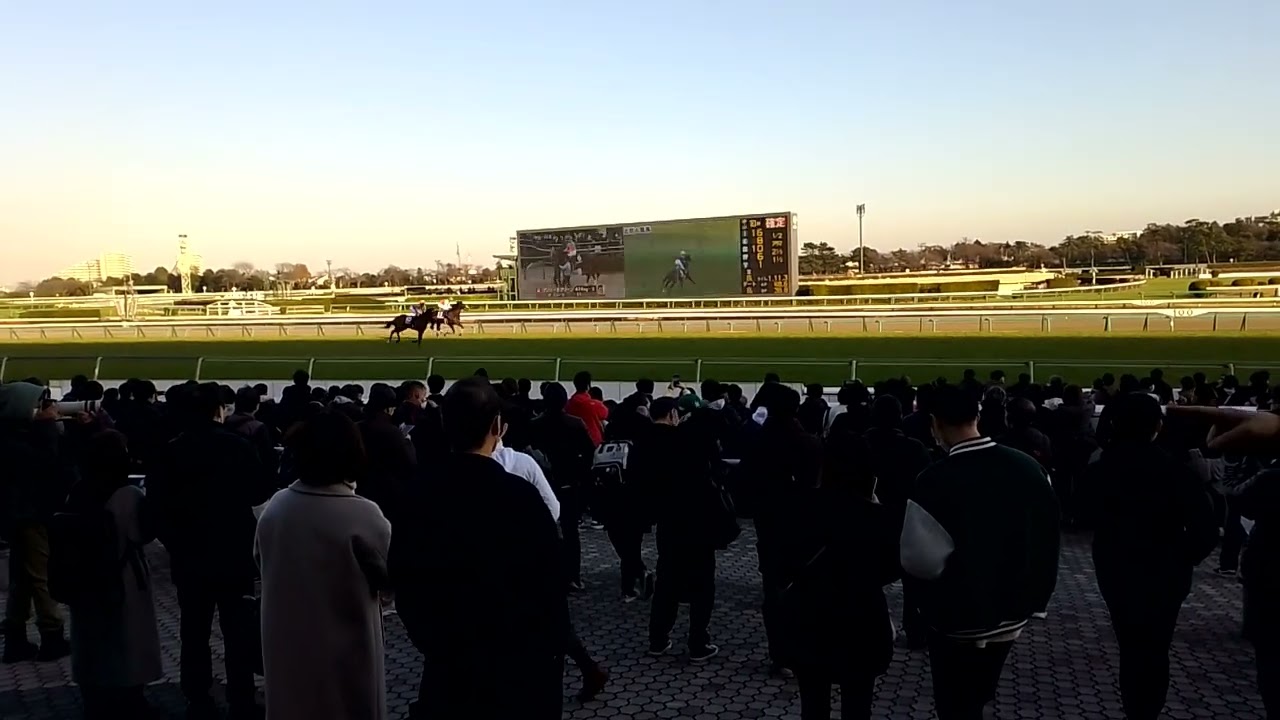ホープフルステークス┊︎現地┊︎返し馬