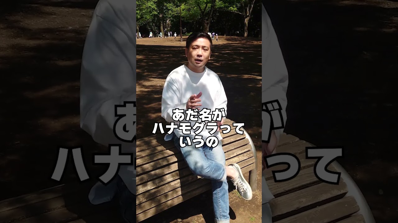 質問来てました！マチカネタンホイザを詳しく知りたいです！　#shorts #競馬 #マチカネタンホイザ