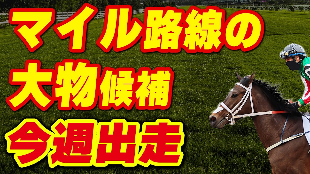 マイル路線の大物候補が今週出走