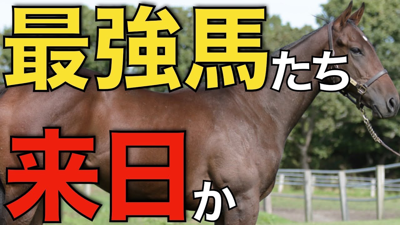 【頂上決戦】日本馬を負かしたあの最強馬たちが来日へ！？世界最高峰の戦いが見られそう。