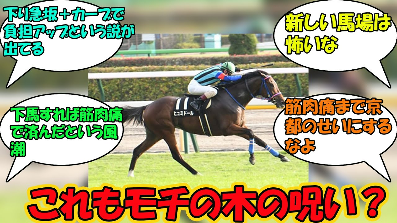 【競馬の反応集】「天皇賞春4頭目の犠牲馬…ヒュミドールがレース後に骨折判明」に対する視聴者の反応集